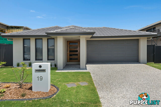 19 Electra Street COOMERA QLD 4209