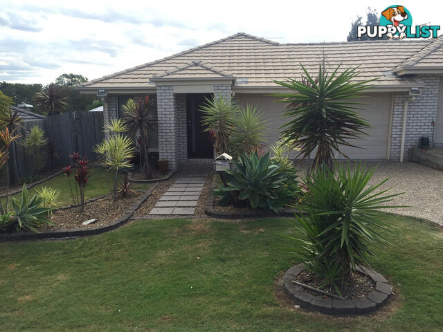 2/19 Jasmine Circuit ORMEAU QLD 4208