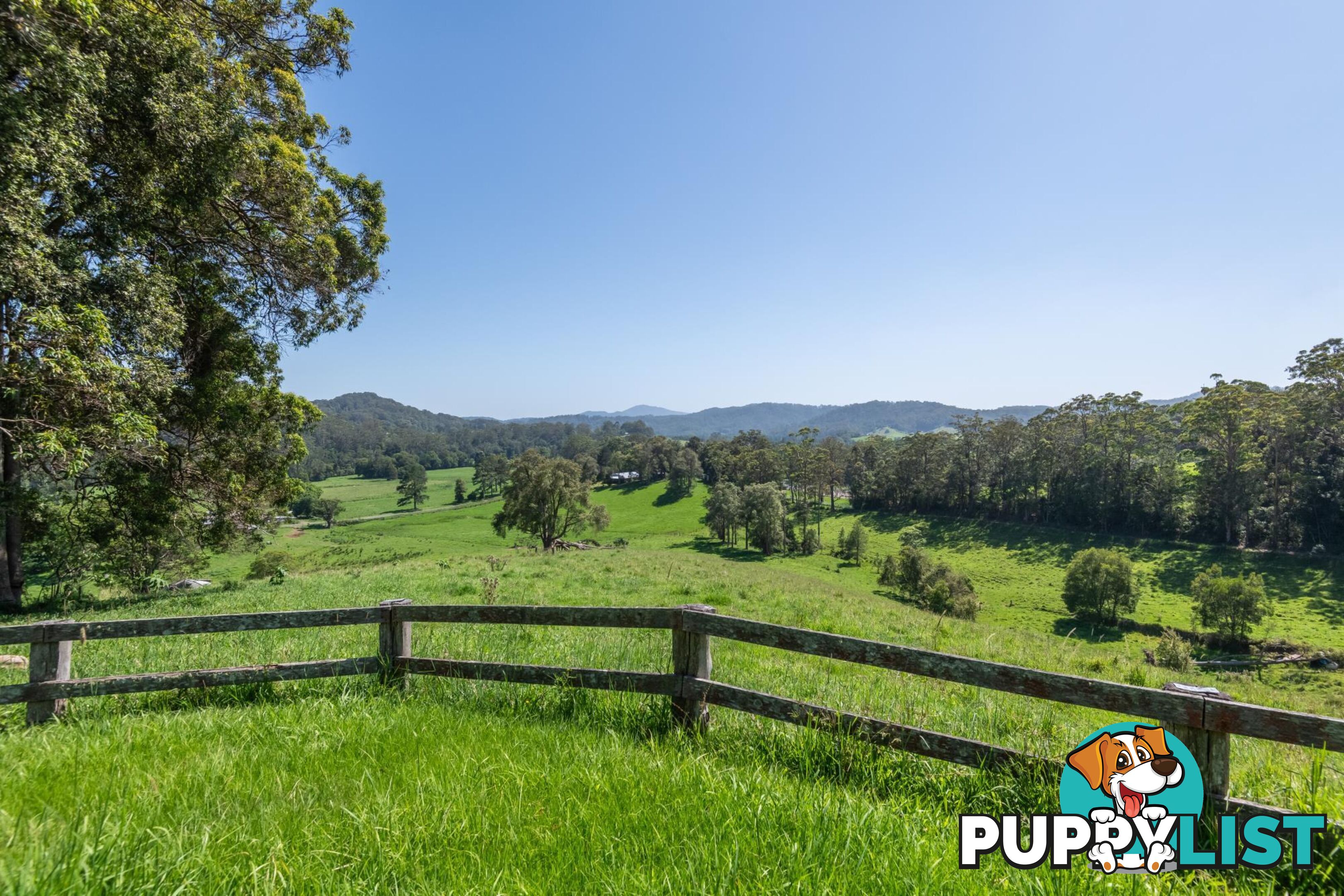 329 South Island Loop Road UPPER ORARA NSW 2450