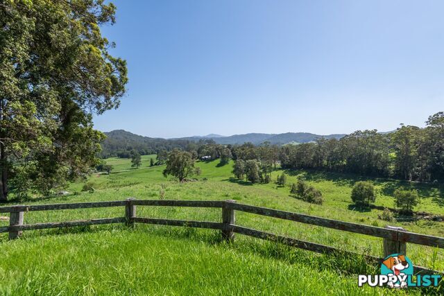 329 South Island Loop Road UPPER ORARA NSW 2450