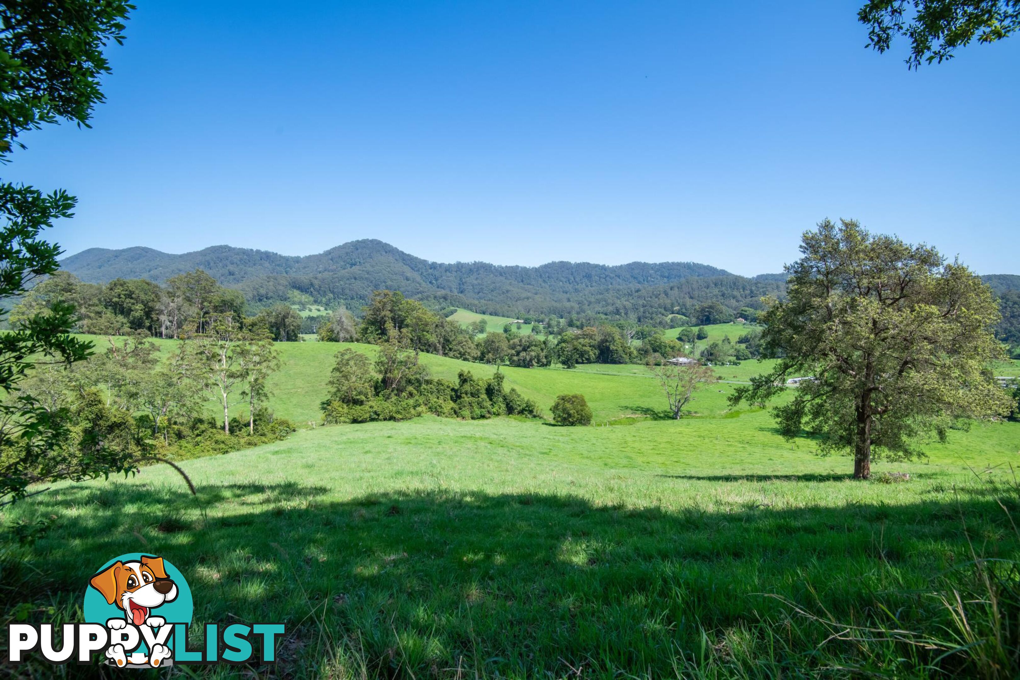 329 South Island Loop Road UPPER ORARA NSW 2450