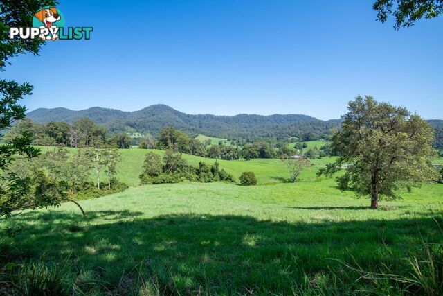 329 South Island Loop Road UPPER ORARA NSW 2450