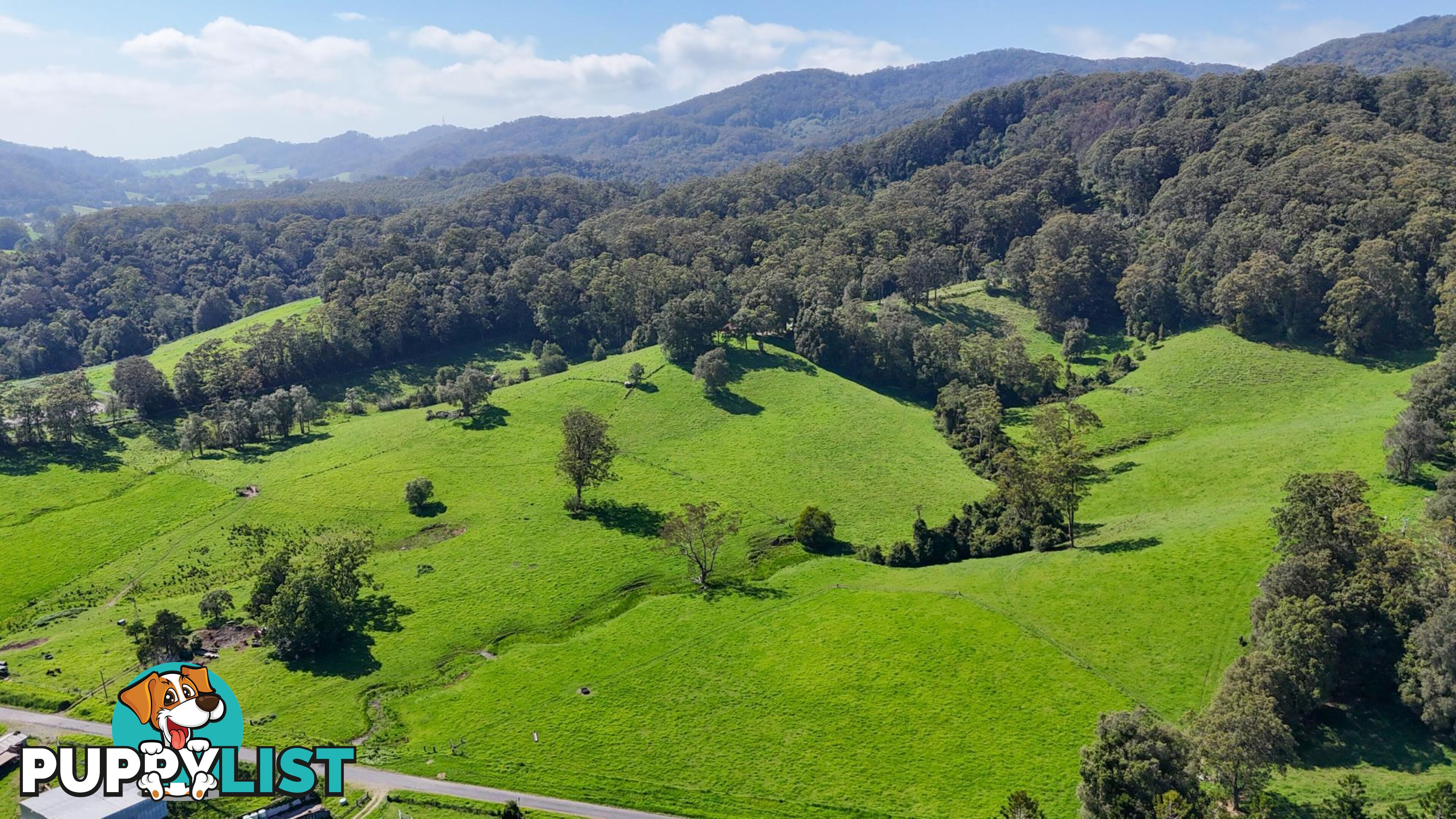 329 South Island Loop Road UPPER ORARA NSW 2450