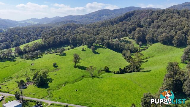 329 South Island Loop Road UPPER ORARA NSW 2450