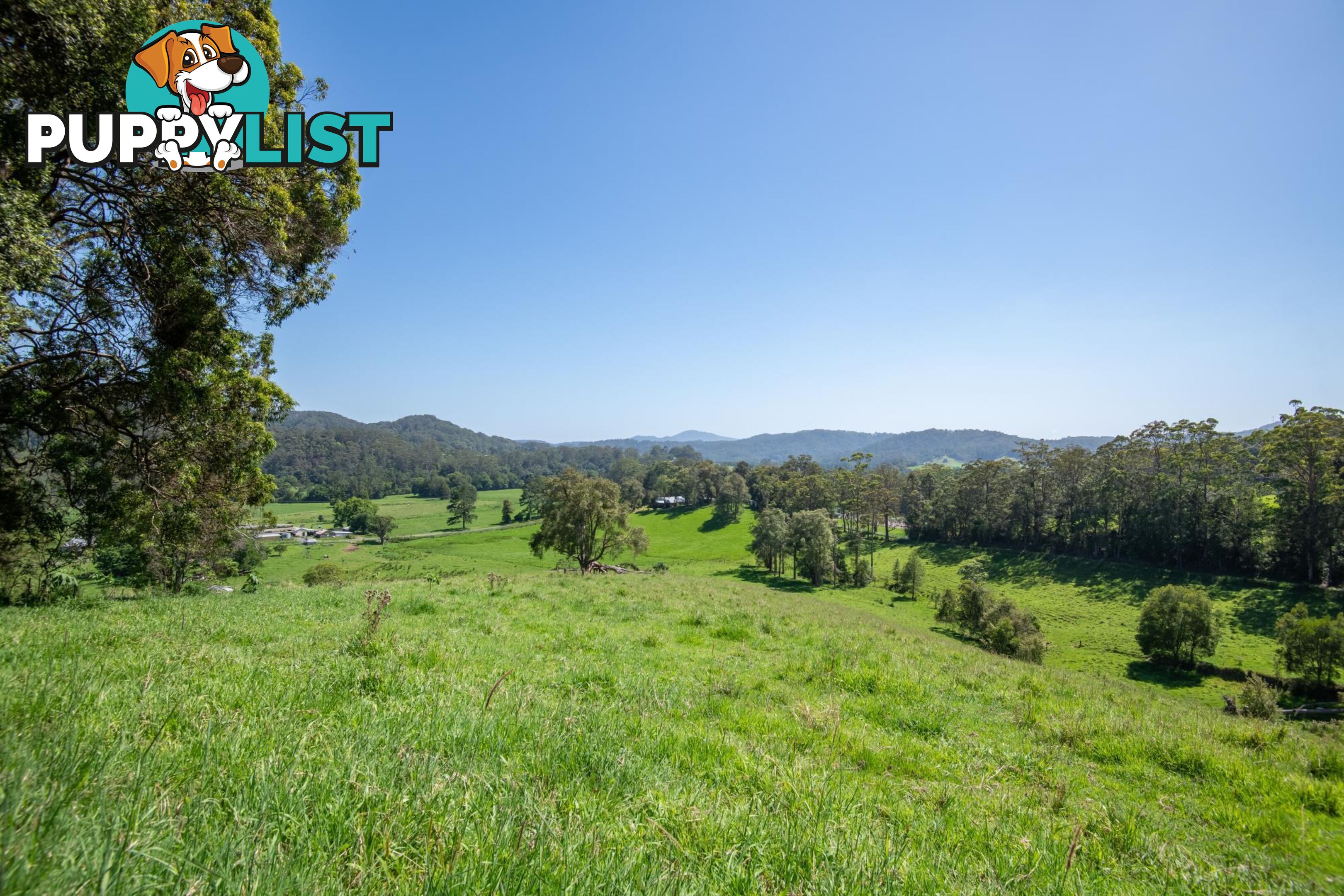 329 South Island Loop Road UPPER ORARA NSW 2450