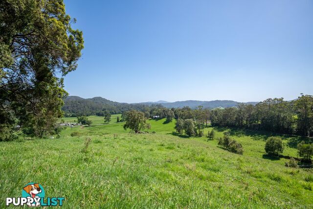 329 South Island Loop Road UPPER ORARA NSW 2450