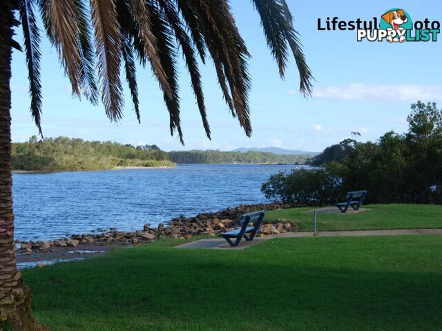 4 Fraser Street NAMBUCCA HEADS NSW 2448