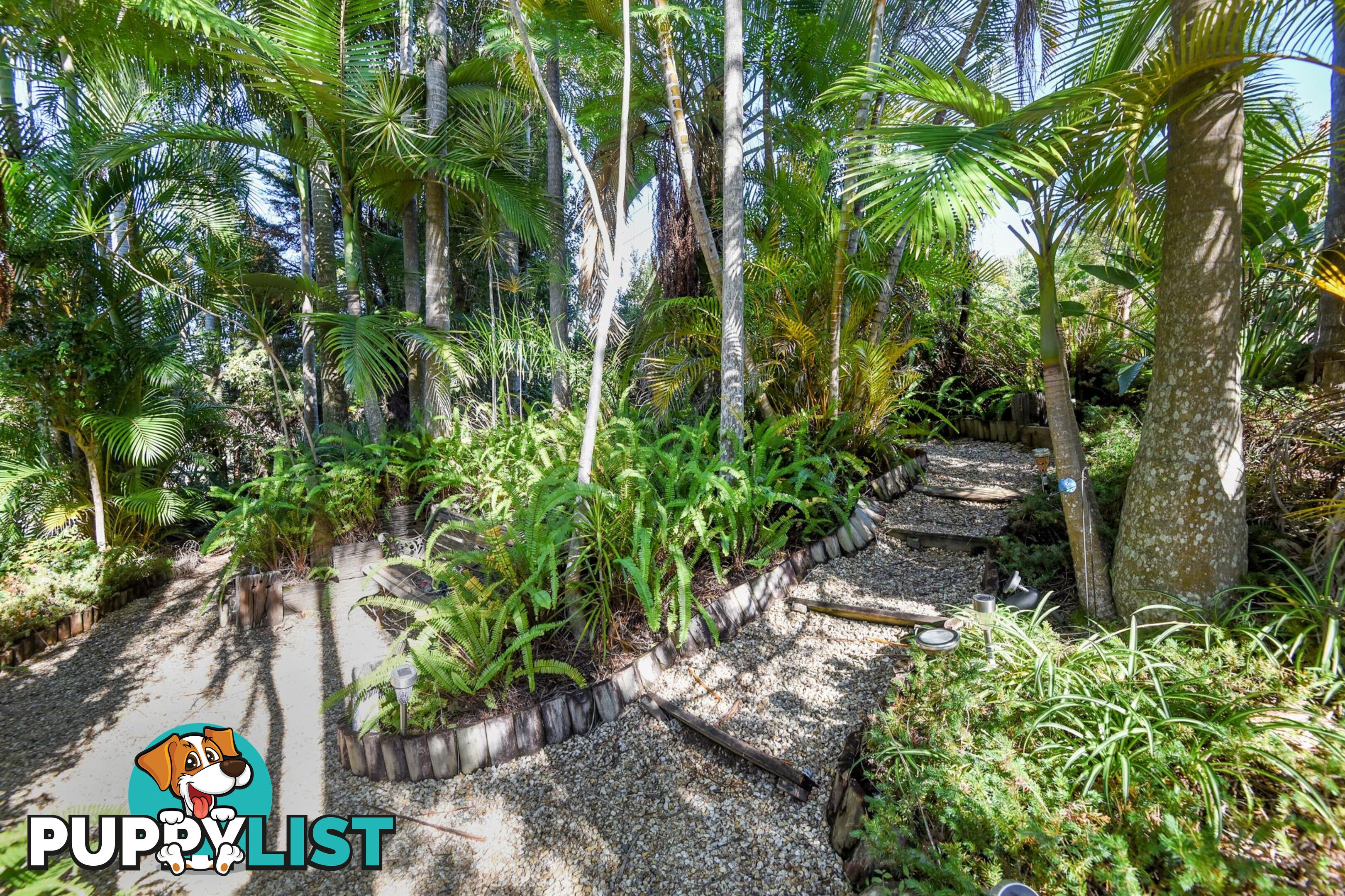 5 Mount Pleasant Drive COFFS HARBOUR NSW 2450