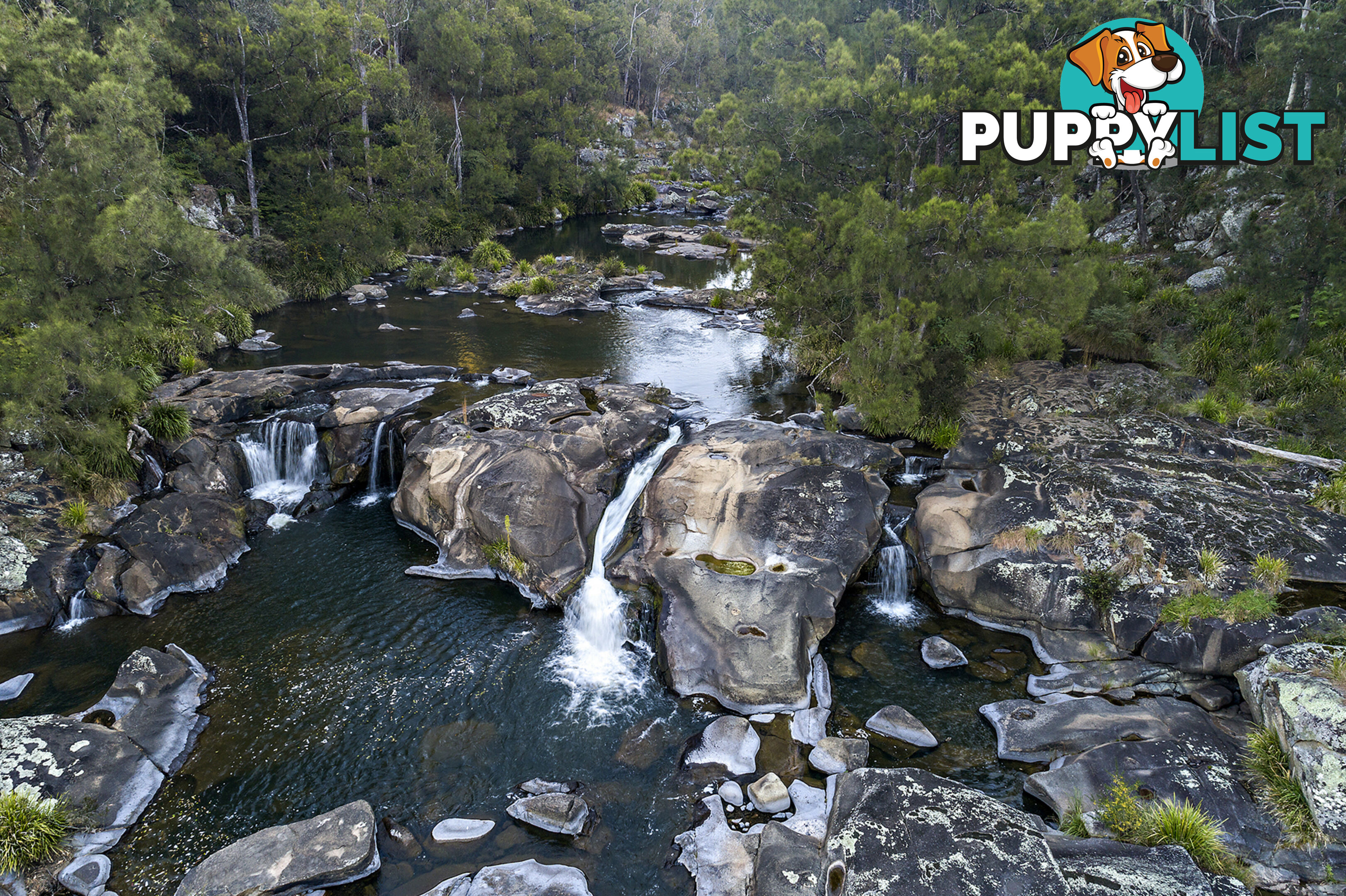 Lot 2/77 Sheepstation Creek Road DORRIGO NSW 2453