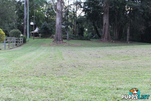 Lot 16 Prince Street BELLINGEN NSW 2454