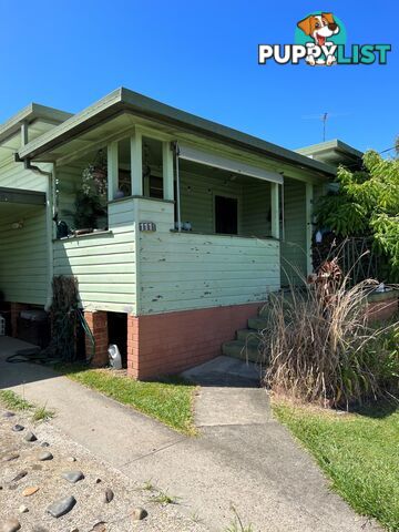 111 Armidale Road SOUTH GRAFTON NSW 2460