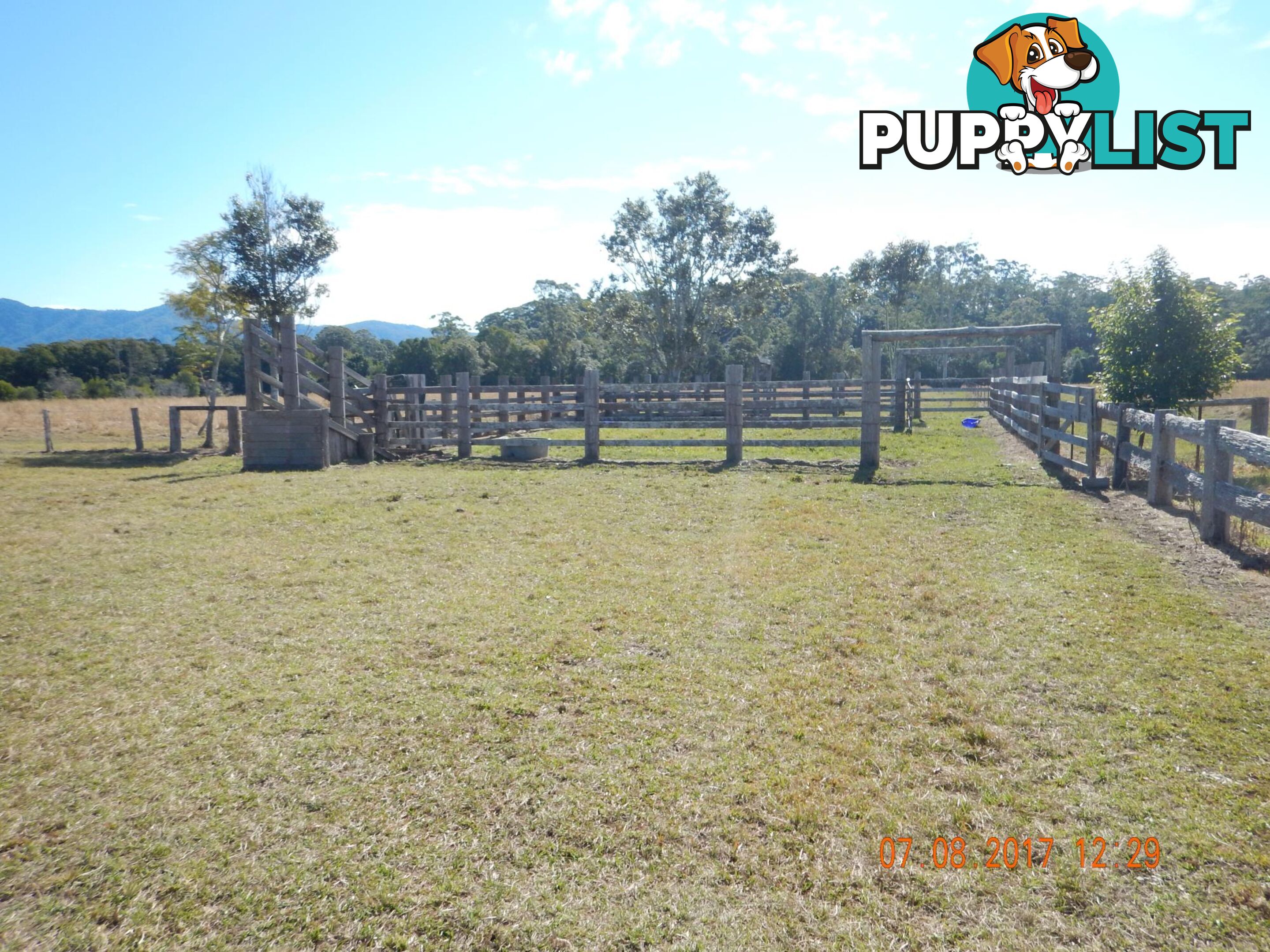 75 Reedys Forrest Road BUNDAGEN NSW 2454