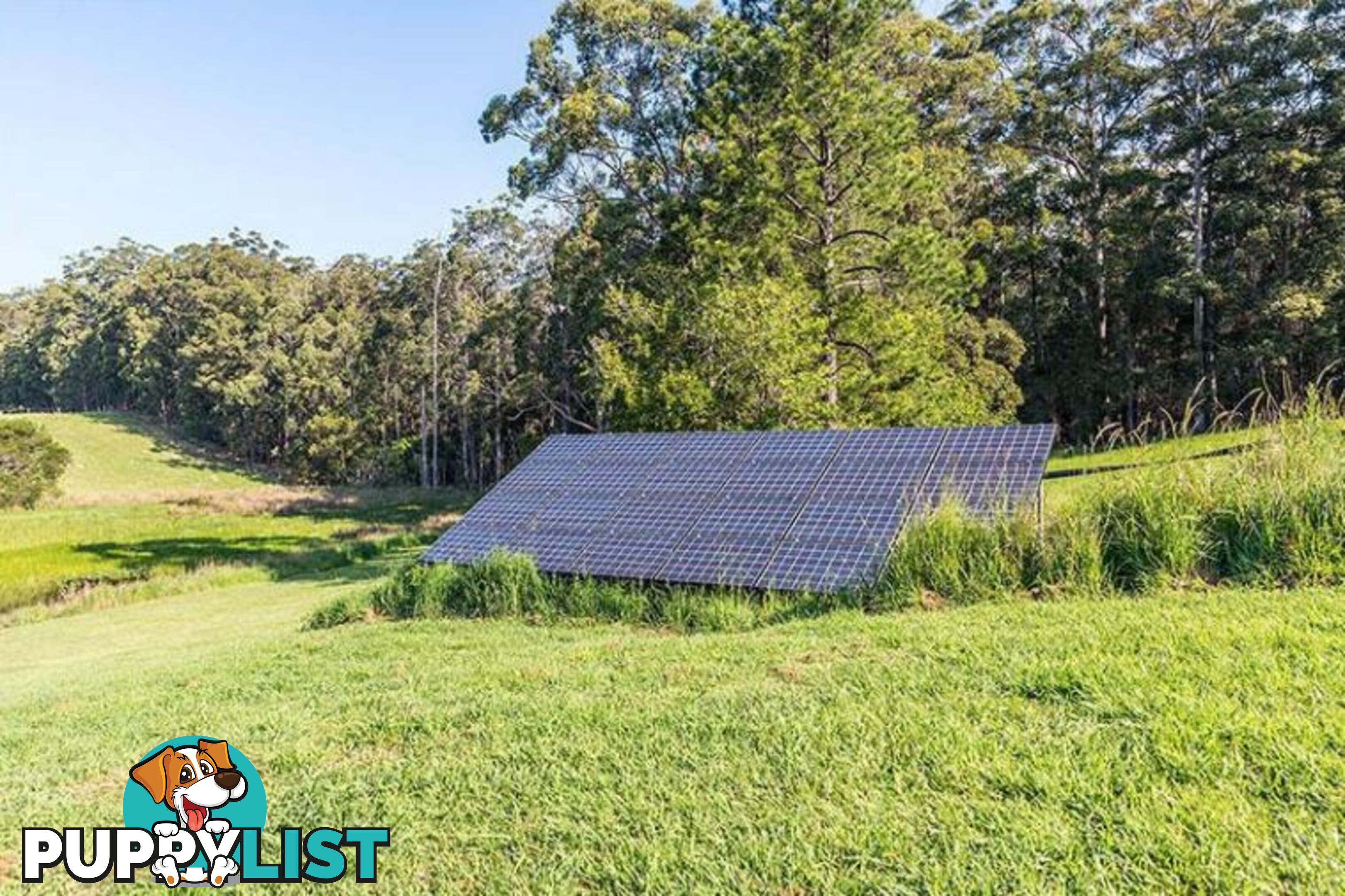 211 Ballards Road VALLA NSW 2448