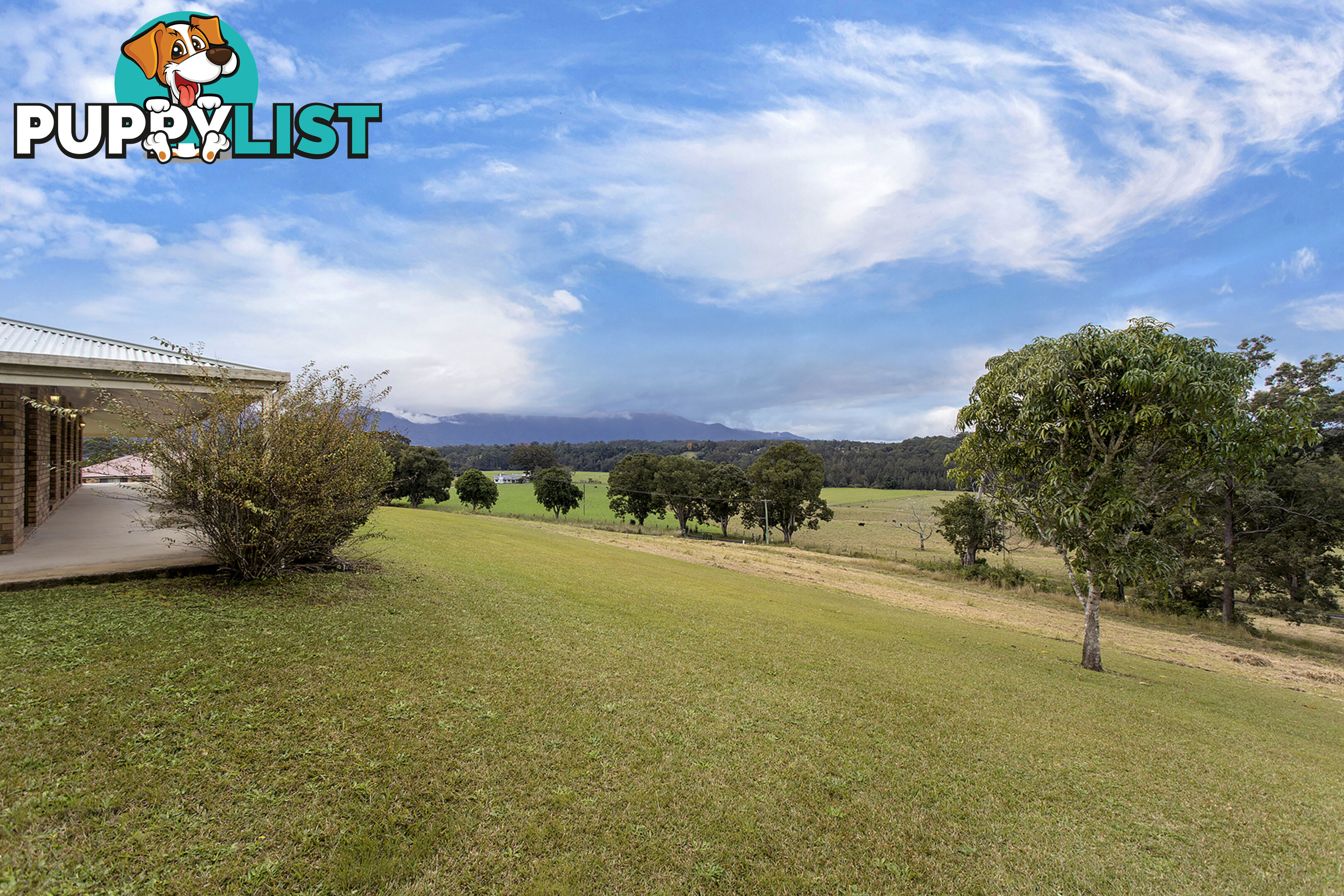 1878 Waterfall Way BELLINGEN NSW 2454