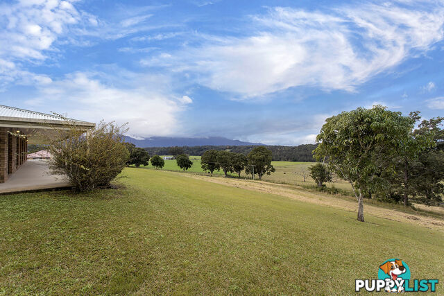 1878 Waterfall Way BELLINGEN NSW 2454