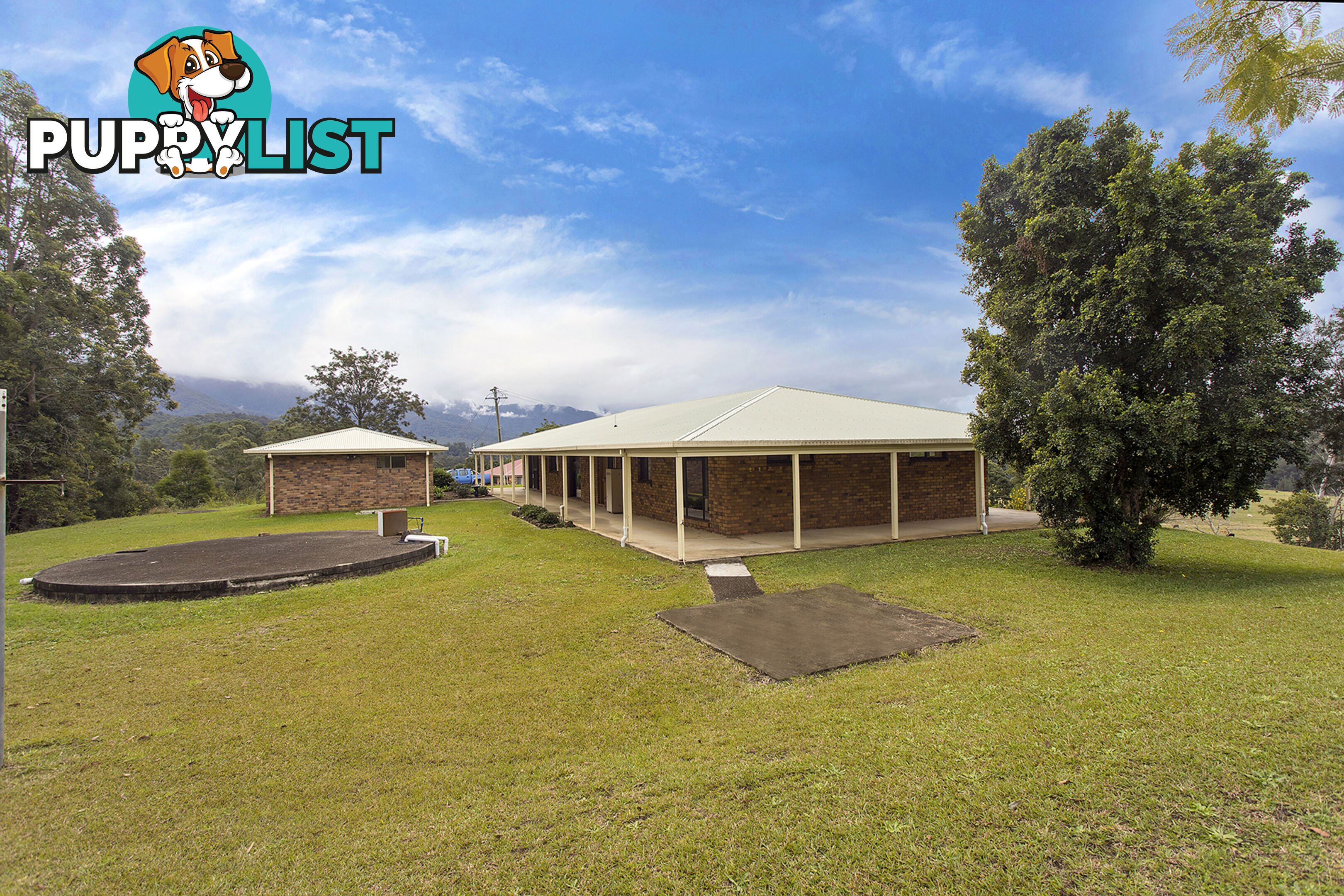 1878 Waterfall Way BELLINGEN NSW 2454