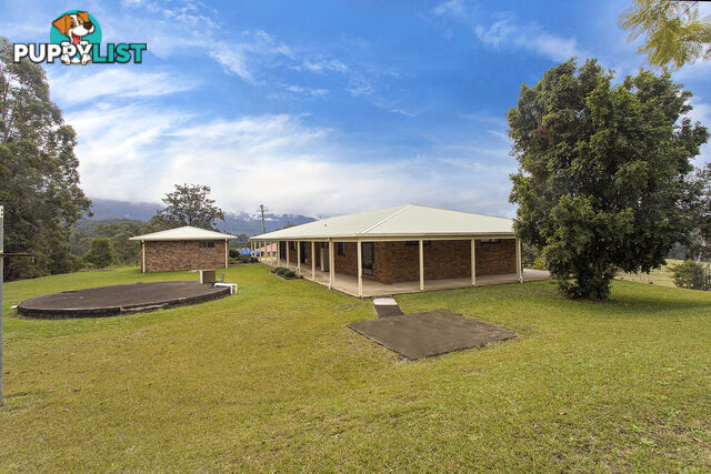 1878 Waterfall Way BELLINGEN NSW 2454