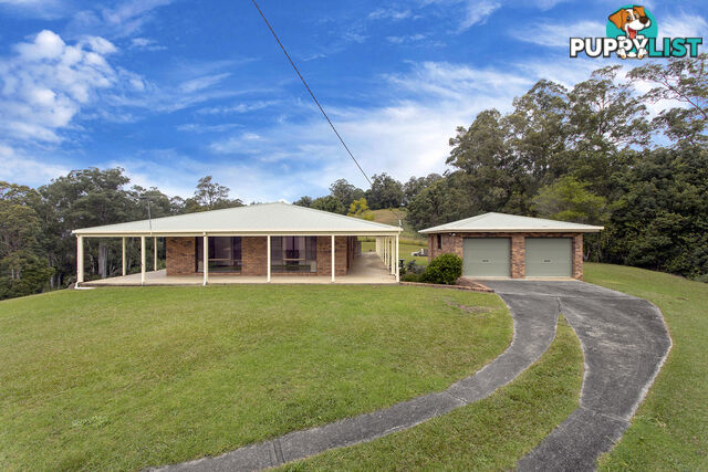 1878 Waterfall Way BELLINGEN NSW 2454