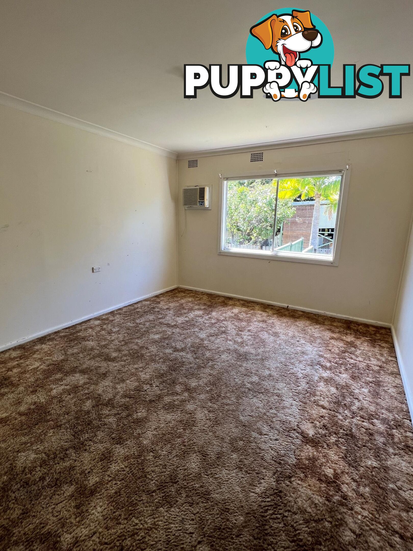 14 Lee Crescent SOUTH GRAFTON NSW 2460