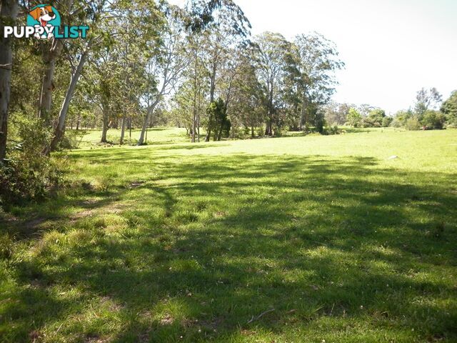 1462 Tyringham Road BOSTOBRICK NSW 2453