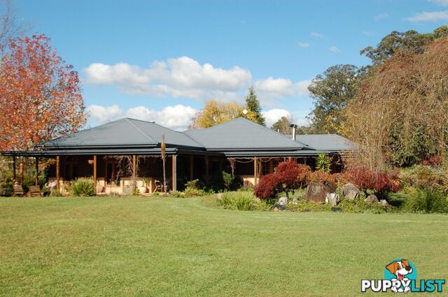 1462 Tyringham Road BOSTOBRICK NSW 2453