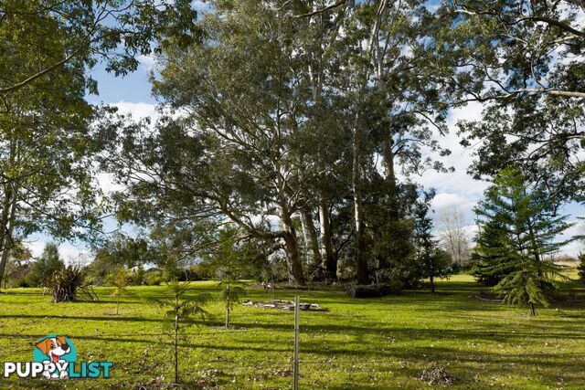 1462 Tyringham Road BOSTOBRICK NSW 2453