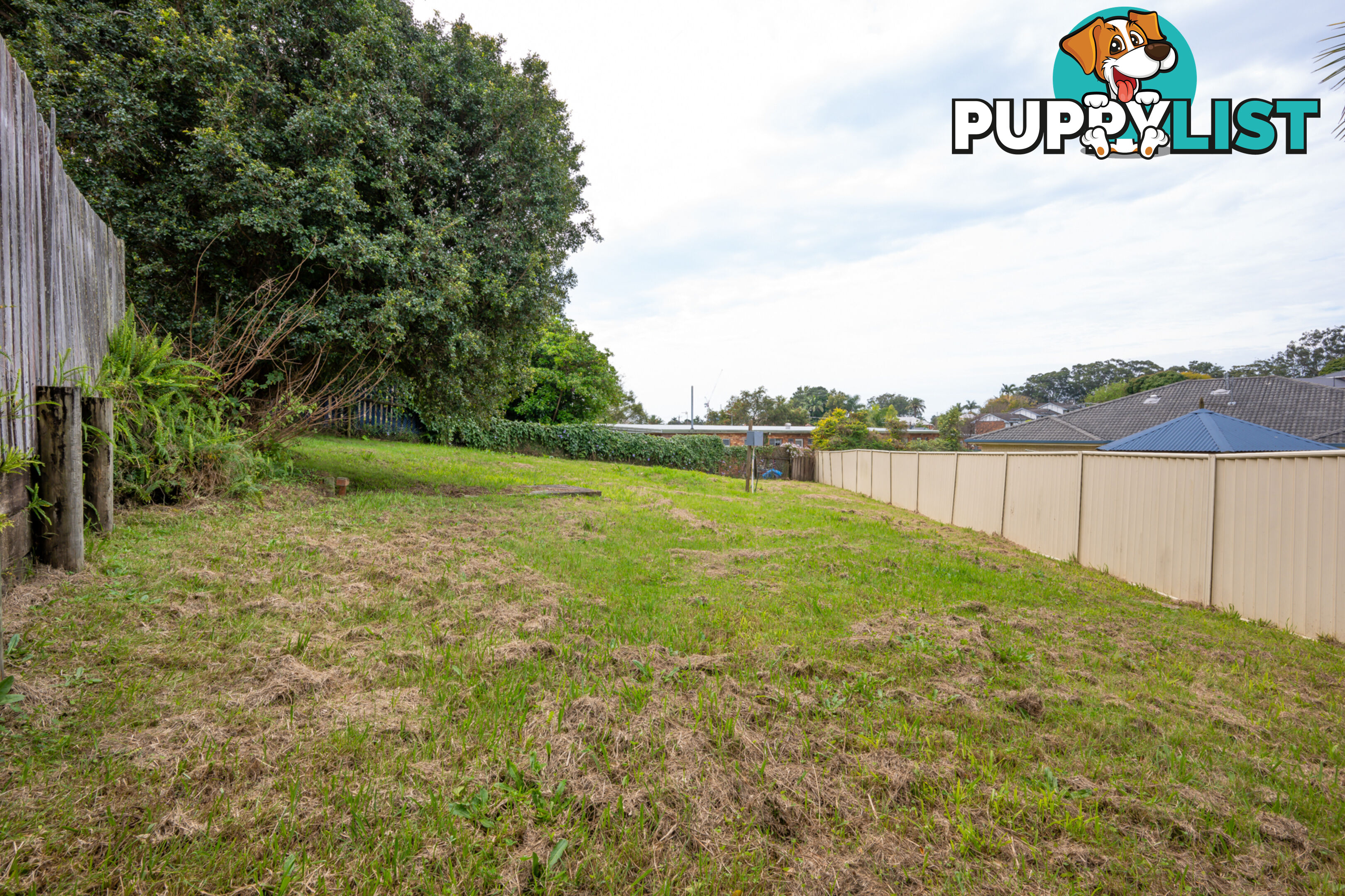 60 Azalea Avenue COFFS HARBOUR NSW 2450