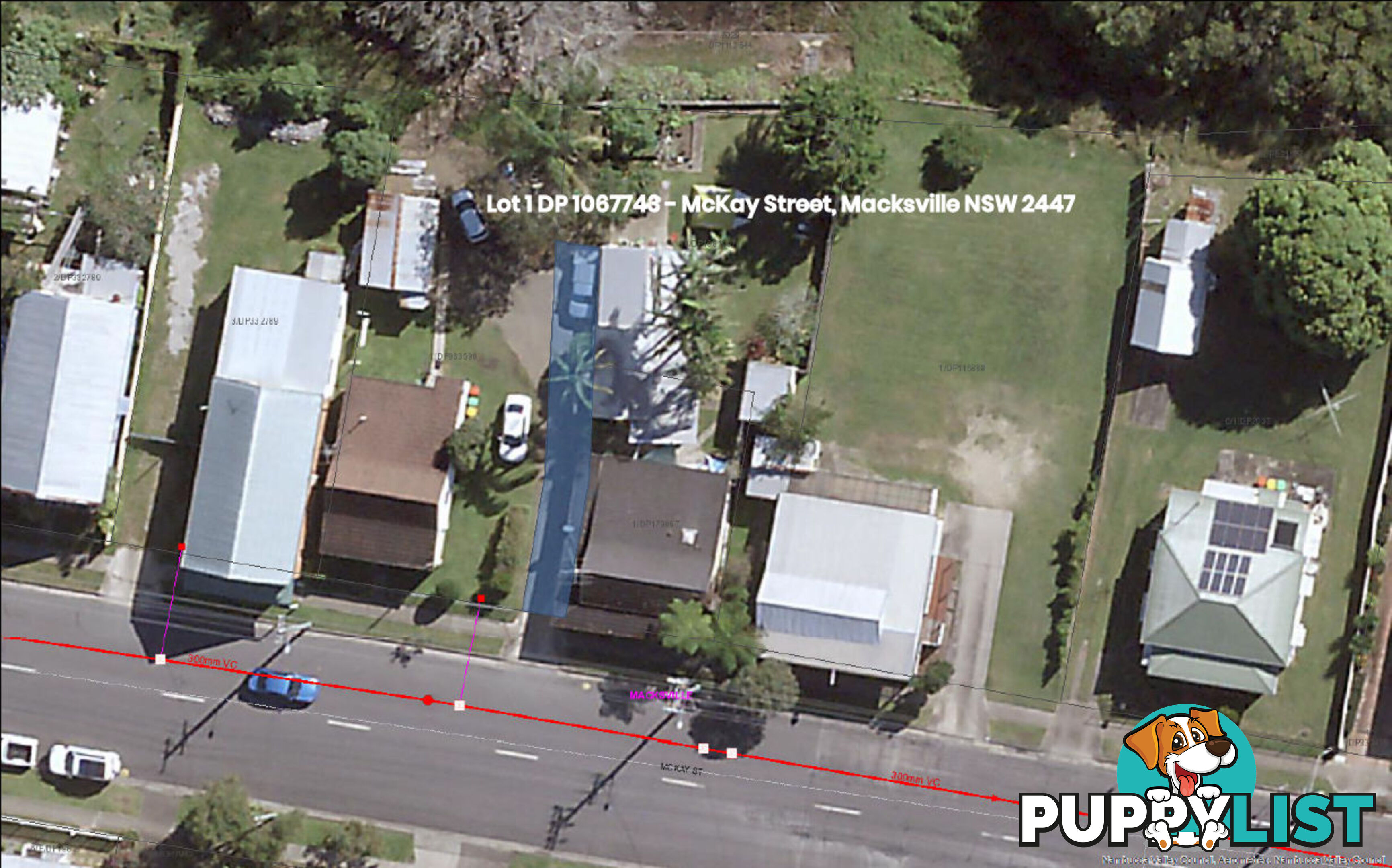 44 Princess Street MACKSVILLE NSW 2447