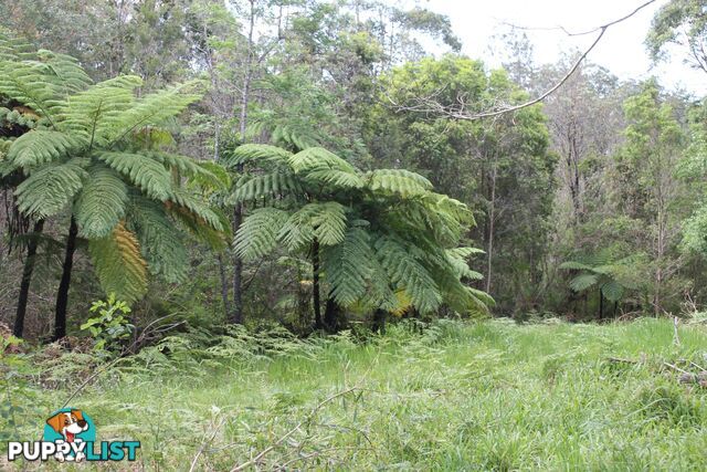 Lot 13 DP1176070/ Shortcut Road RALEIGH NSW 2454