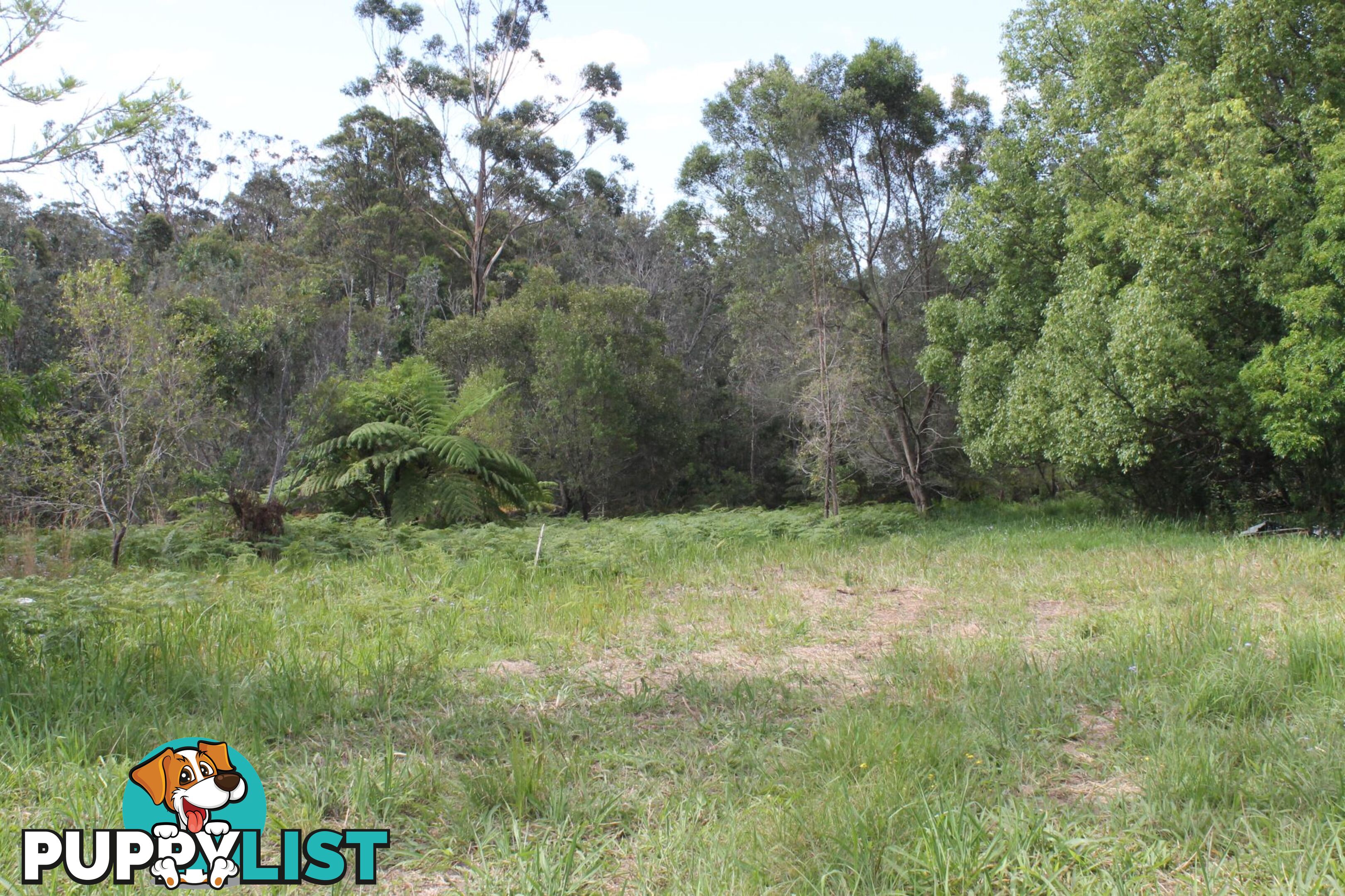 Lot 13 DP1176070/ Shortcut Road RALEIGH NSW 2454