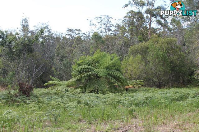 Lot 13 DP1176070/ Shortcut Road RALEIGH NSW 2454