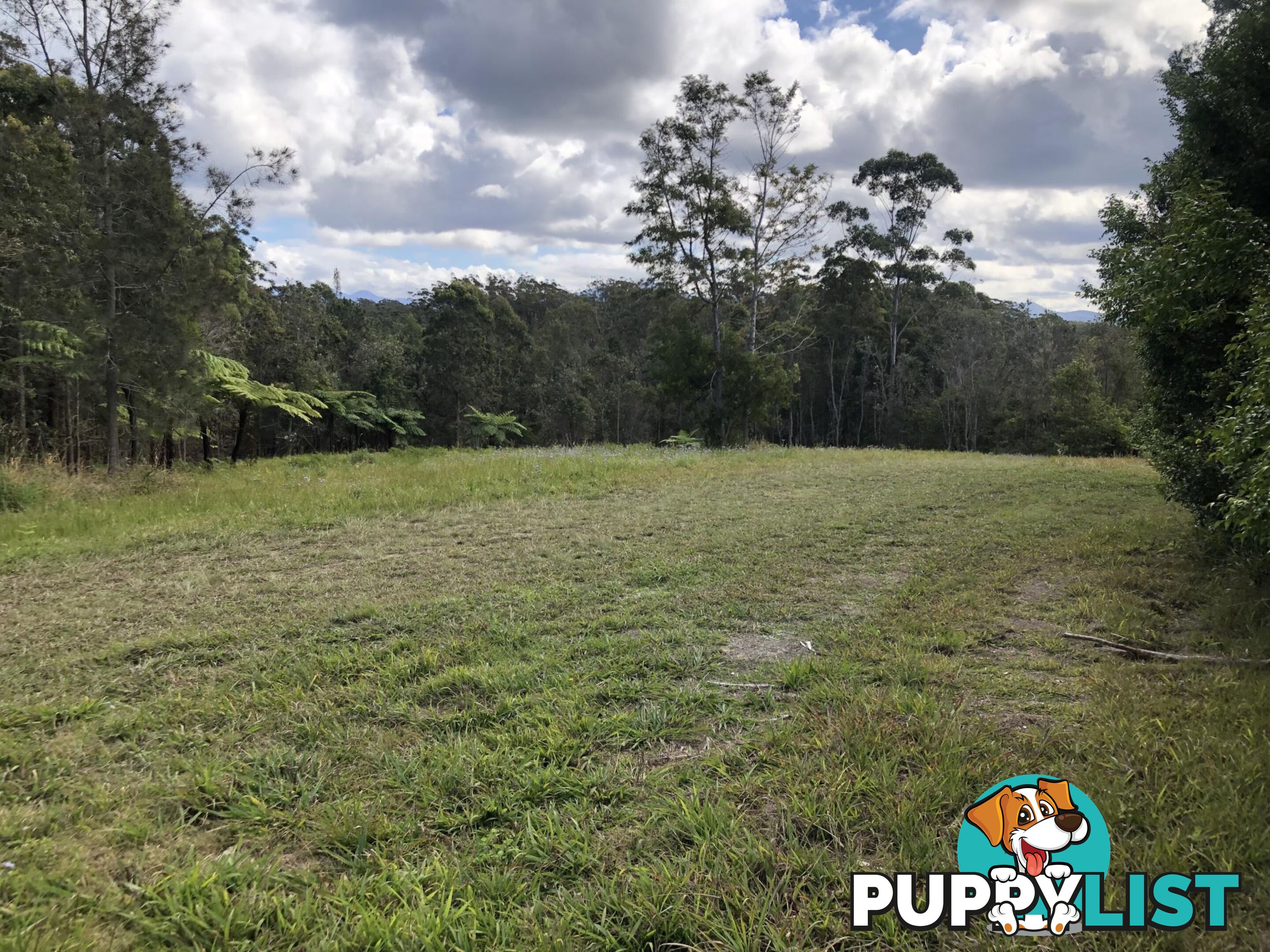 Lot 13 DP1176070/ Shortcut Road RALEIGH NSW 2454