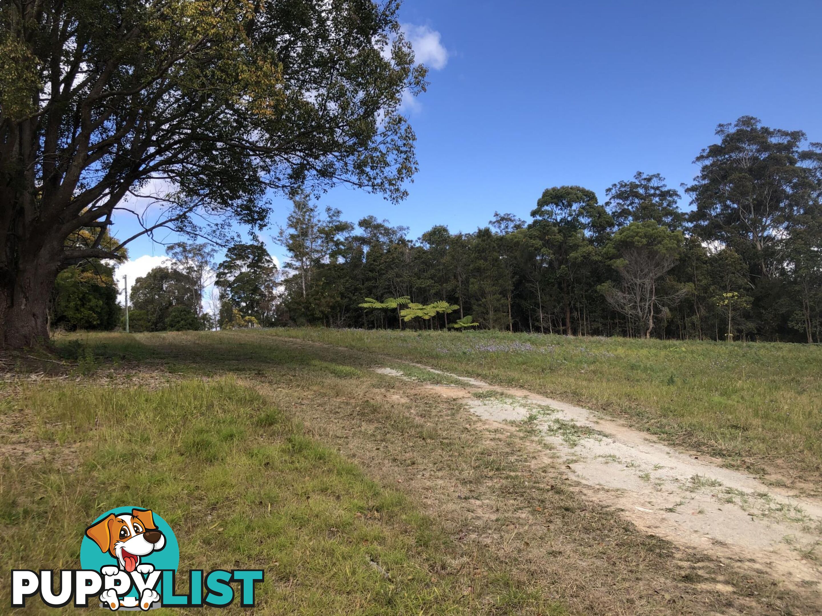 Lot 13 DP1176070/ Shortcut Road RALEIGH NSW 2454