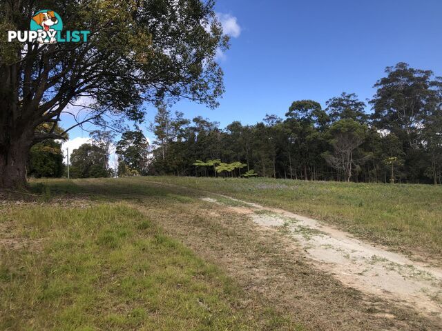 Lot 13 DP1176070/ Shortcut Road RALEIGH NSW 2454