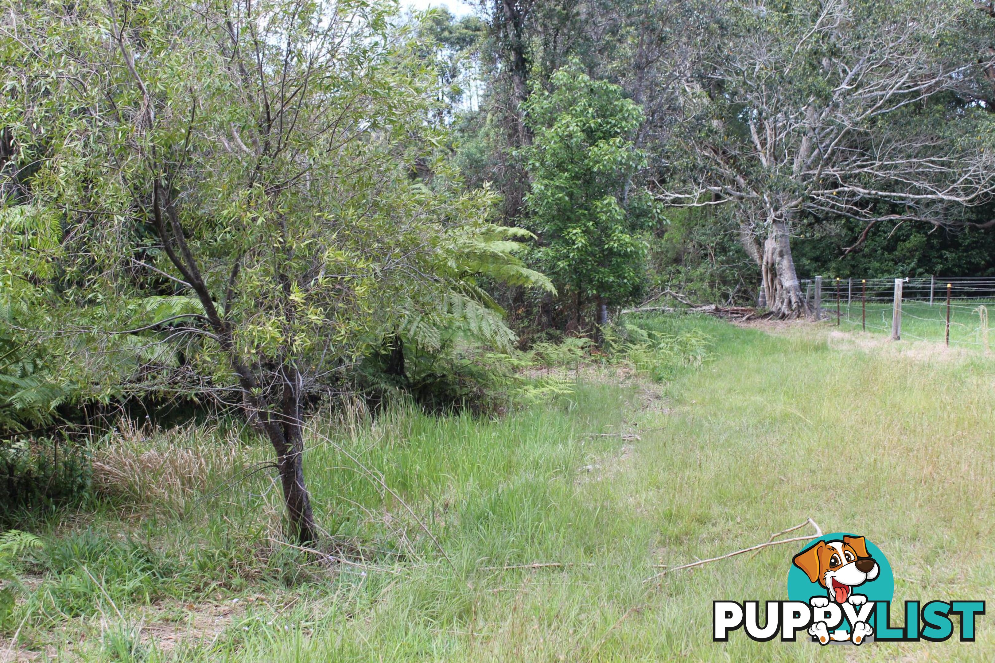 Lot 13 DP1176070/ Shortcut Road RALEIGH NSW 2454