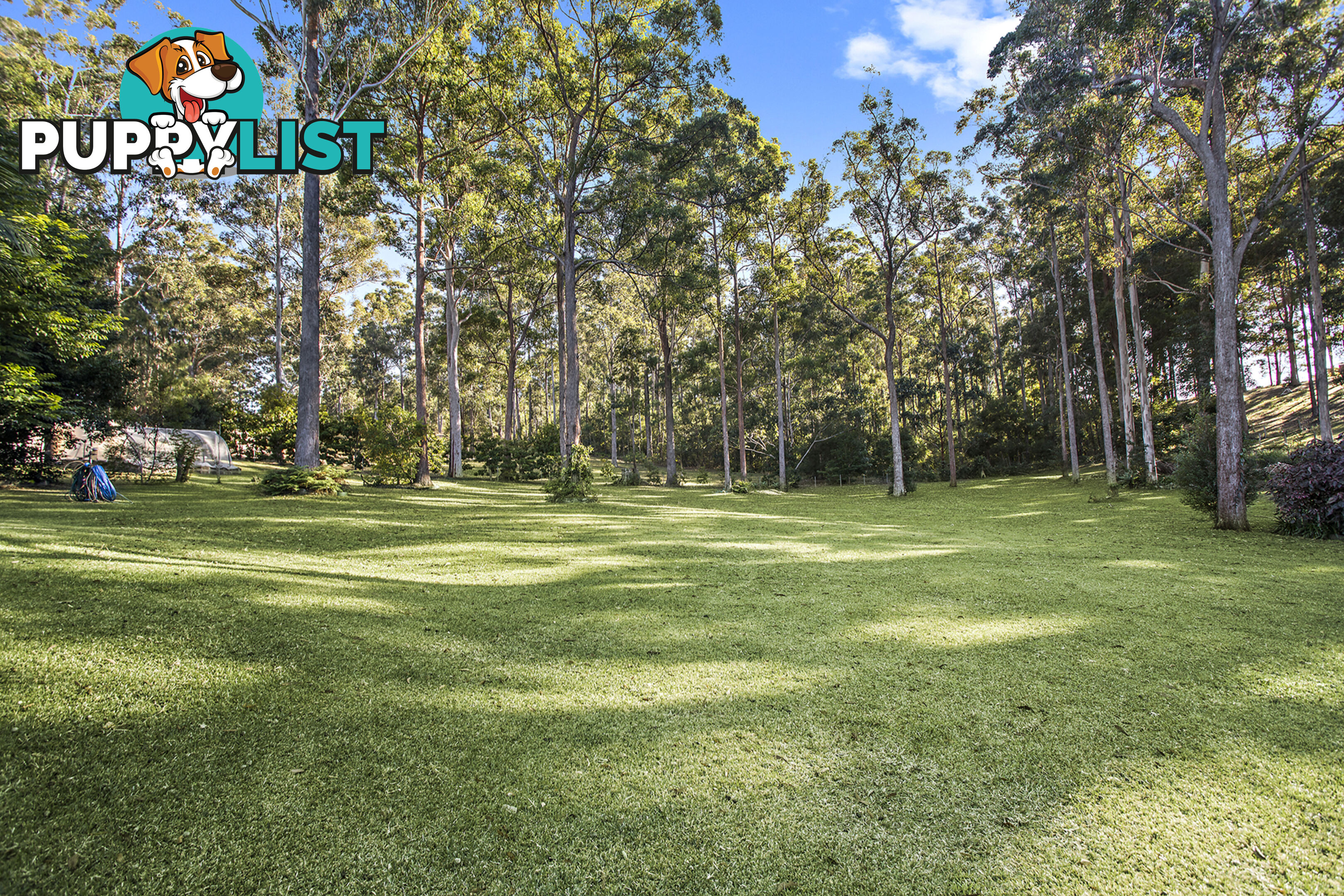 176 Heritage Drive MOONEE BEACH NSW 2450