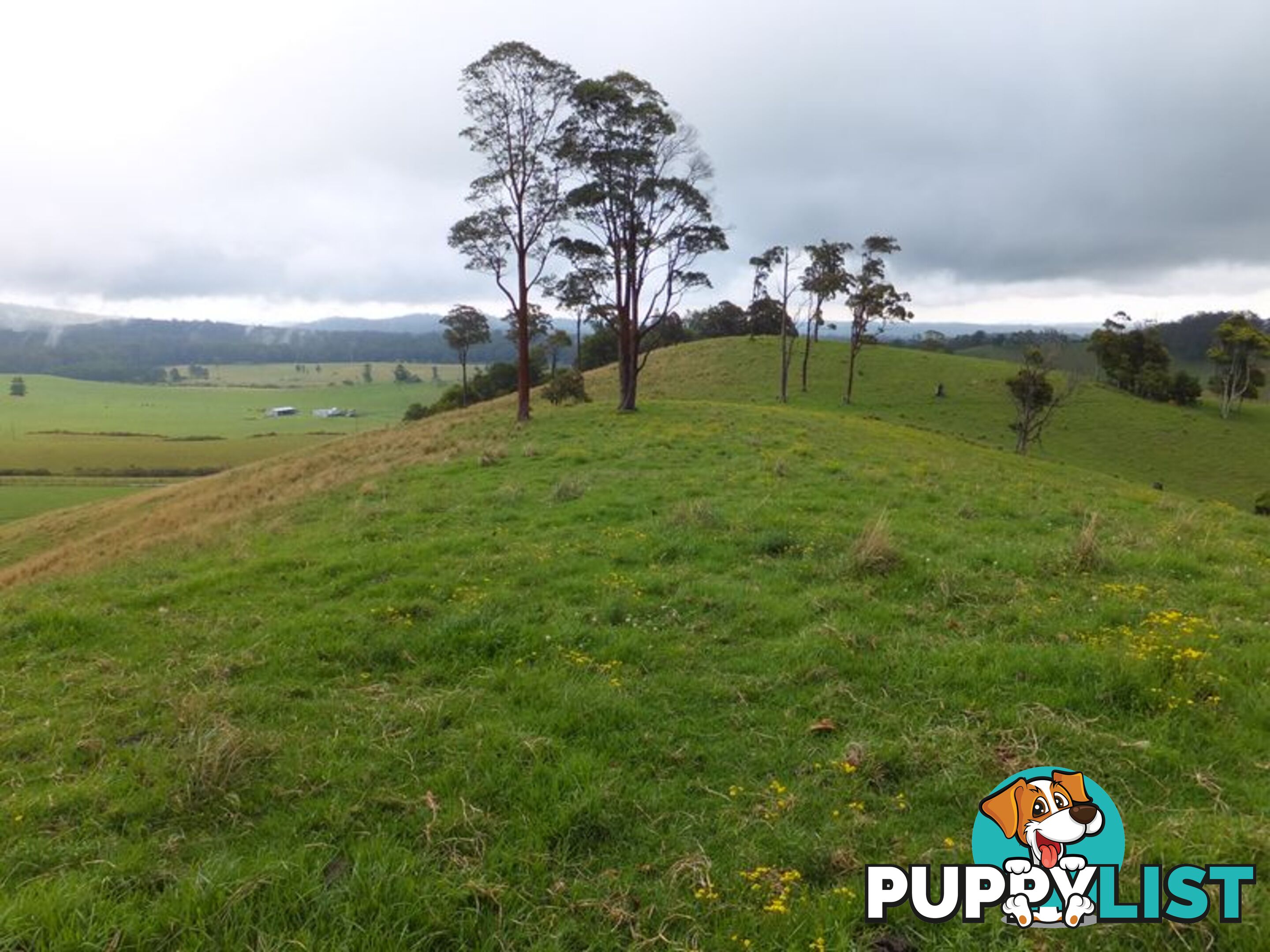 200 Camp Creek Road LOWANNA NSW 2450