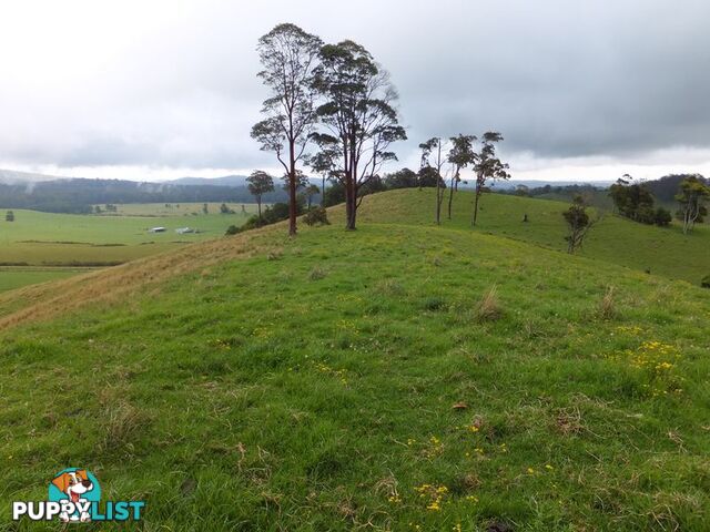 200 Camp Creek Road LOWANNA NSW 2450