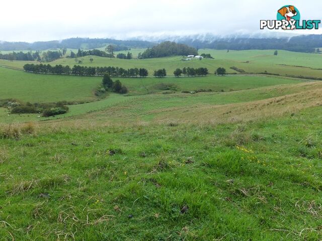 200 Camp Creek Road LOWANNA NSW 2450