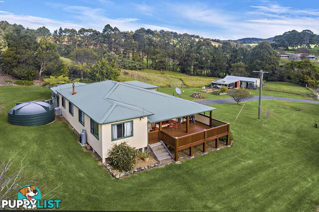 376 Slingsbys Road DORRIGO NSW 2453