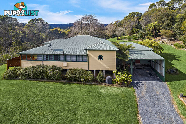 376 Slingsbys Road DORRIGO NSW 2453