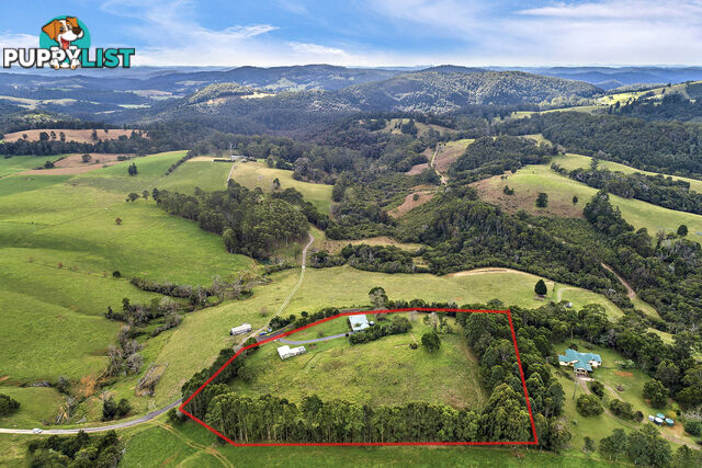 376 Slingsbys Road DORRIGO NSW 2453