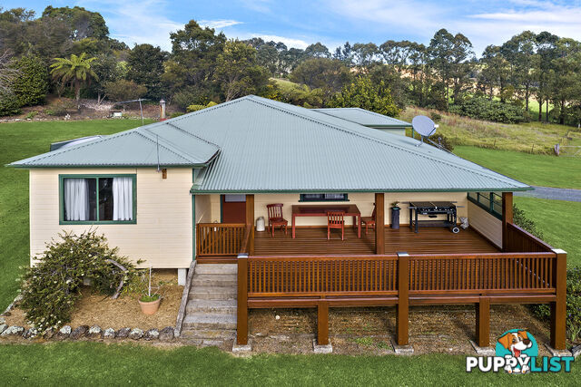 376 Slingsbys Road DORRIGO NSW 2453