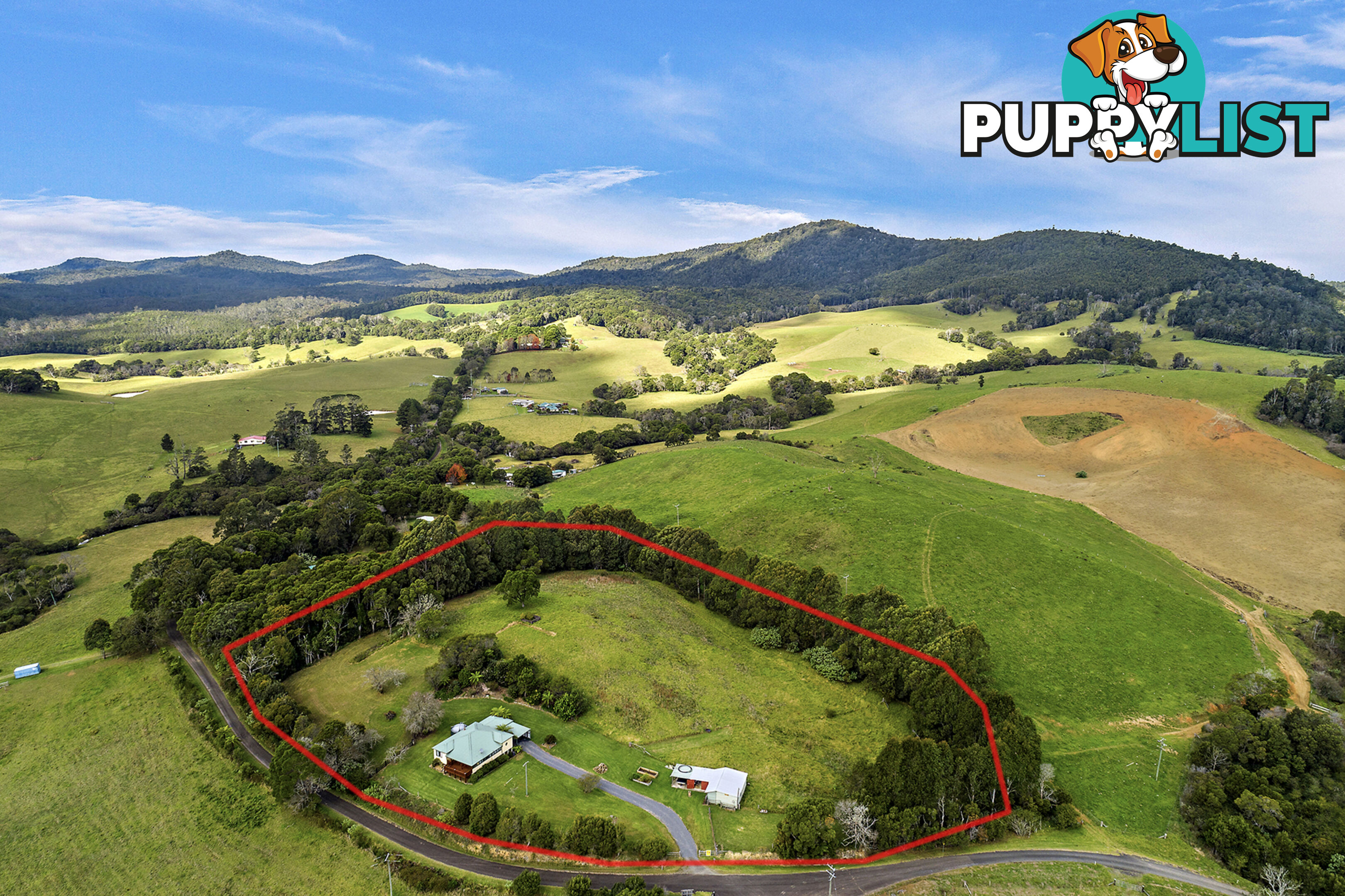 376 Slingsbys Road DORRIGO NSW 2453