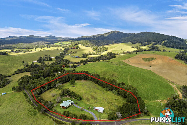 376 Slingsbys Road DORRIGO NSW 2453