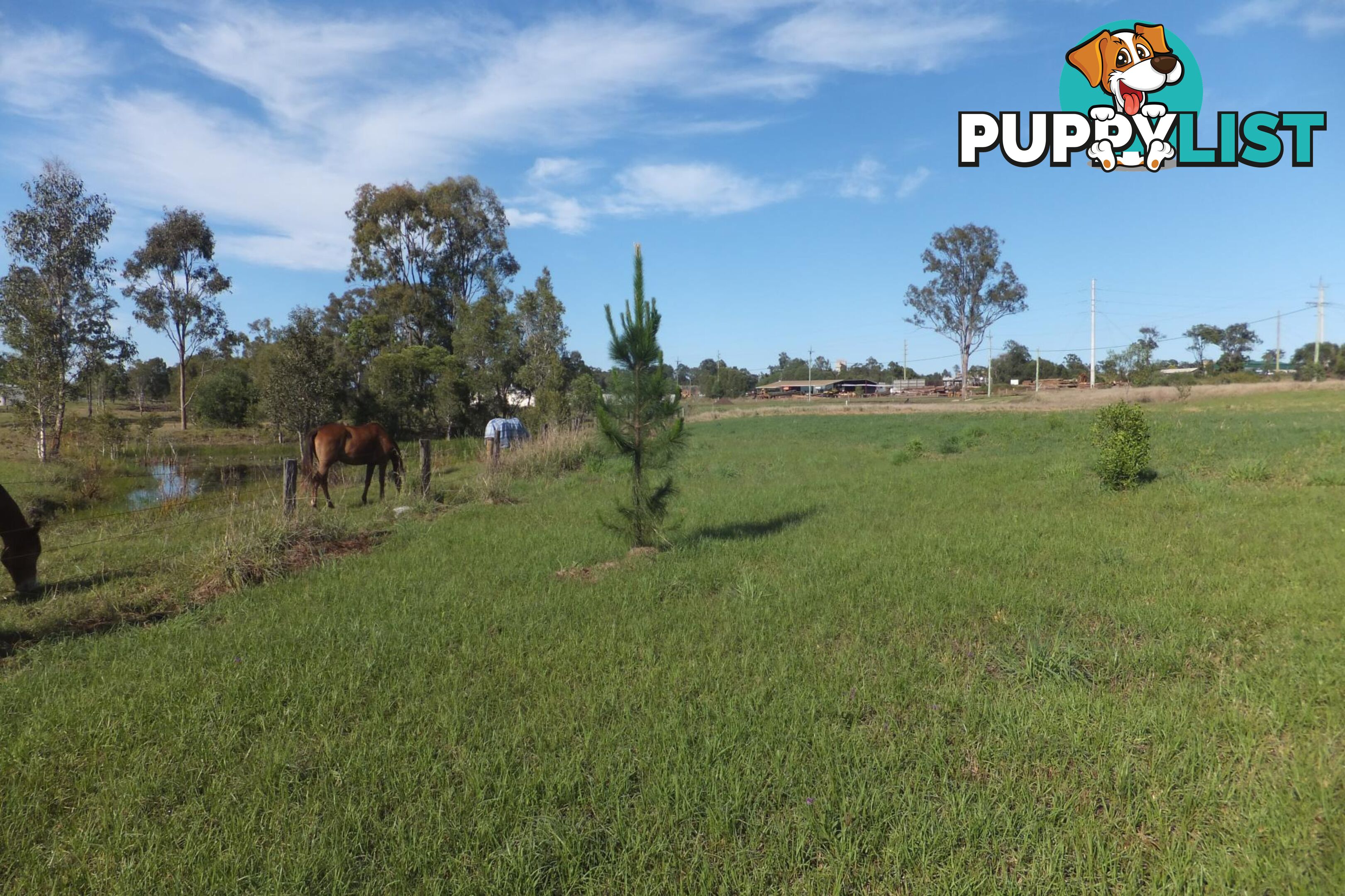 Lot 10/28 Adonus Close TRENAYR NSW 2460