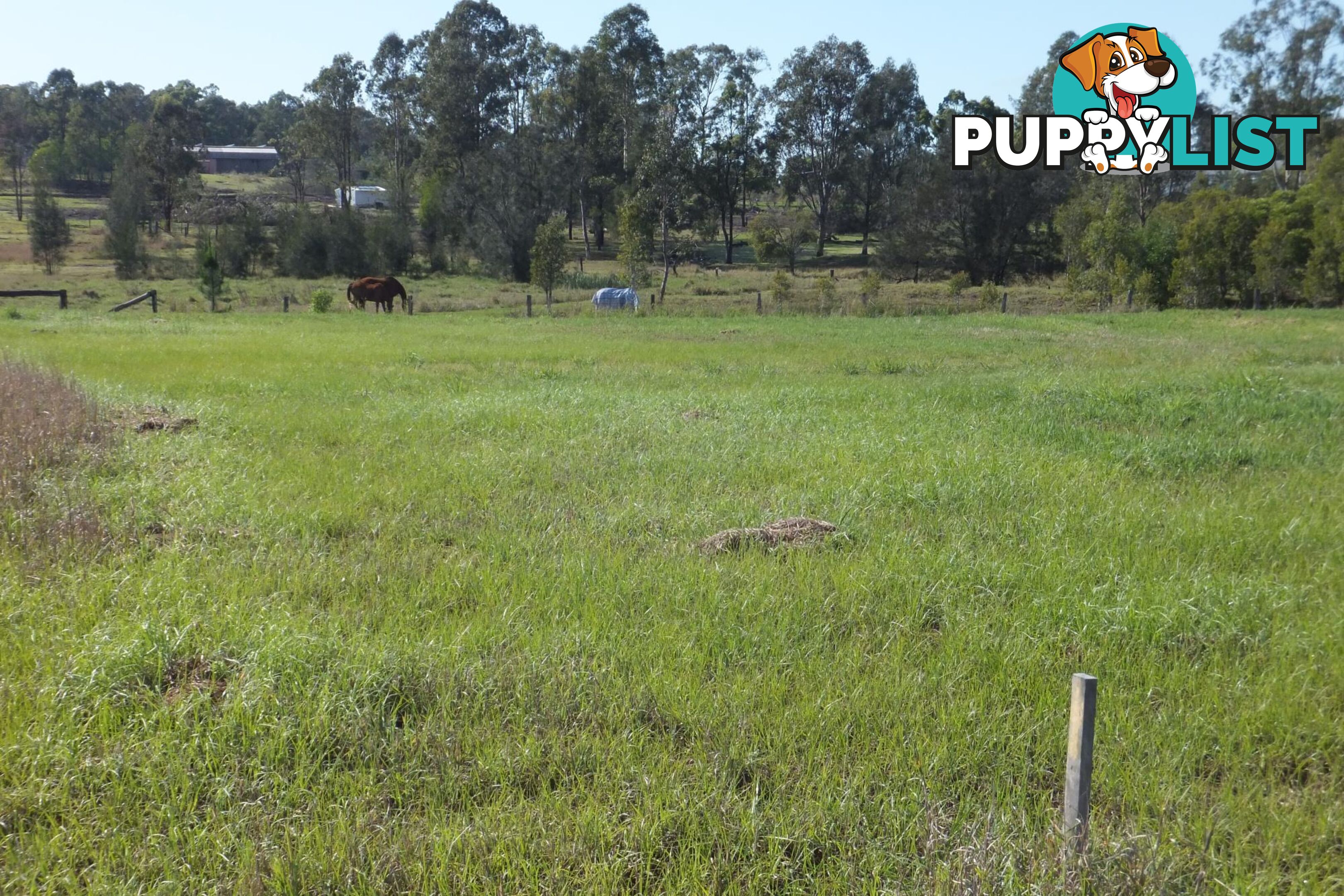 Lot 10/28 Adonus Close TRENAYR NSW 2460