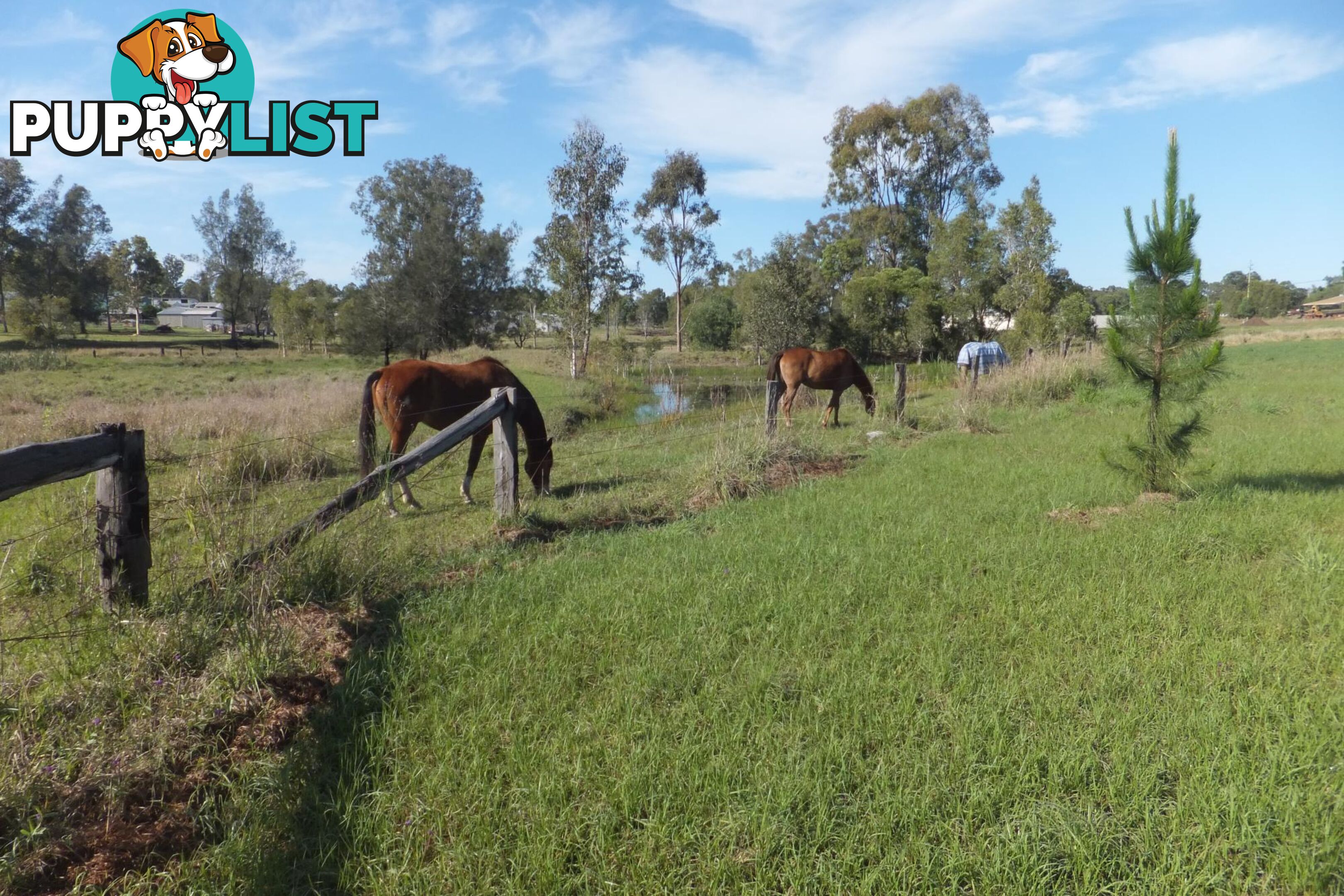 Lot 10/28 Adonus Close TRENAYR NSW 2460