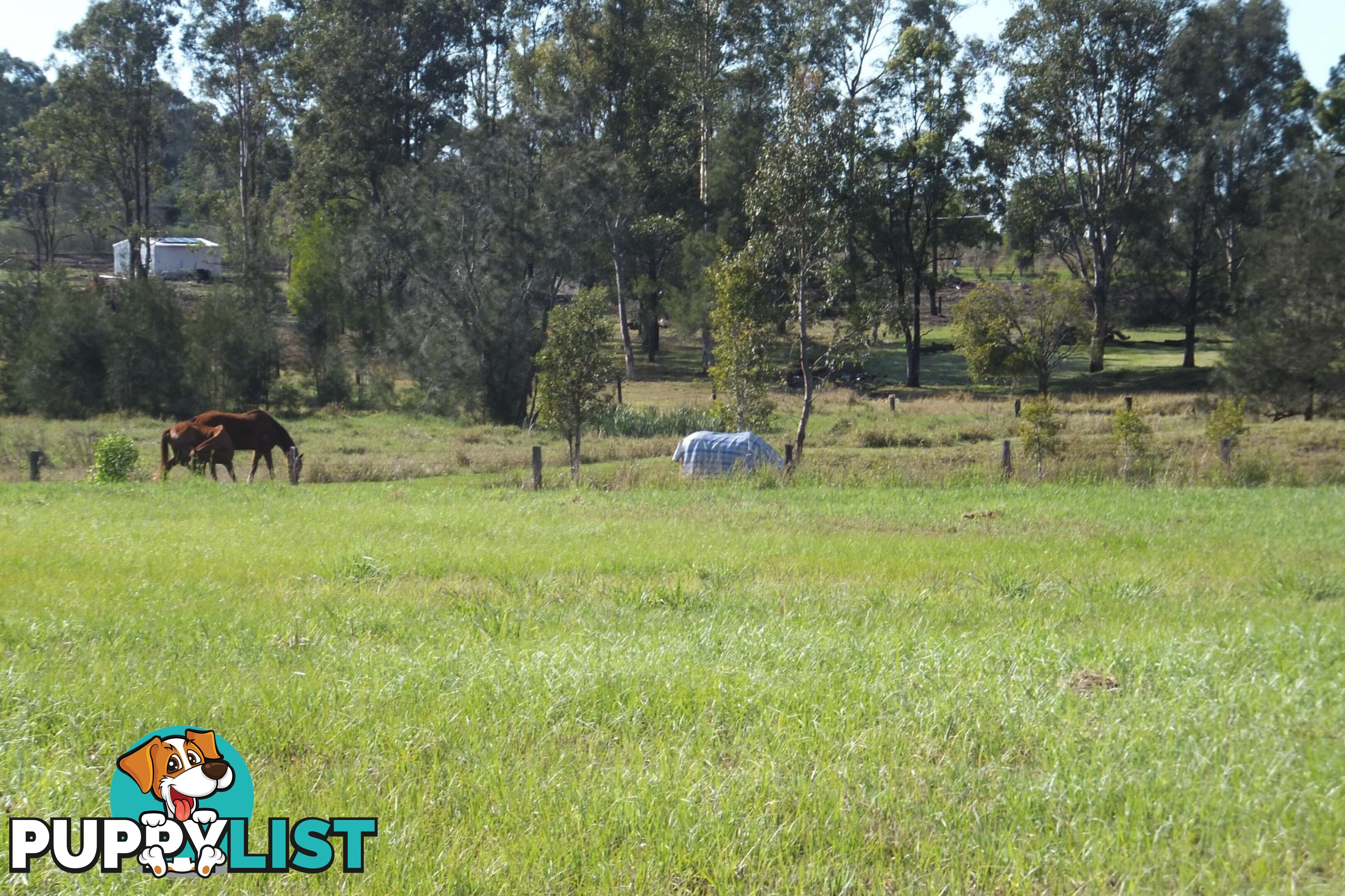 Lot 10/28 Adonus Close TRENAYR NSW 2460