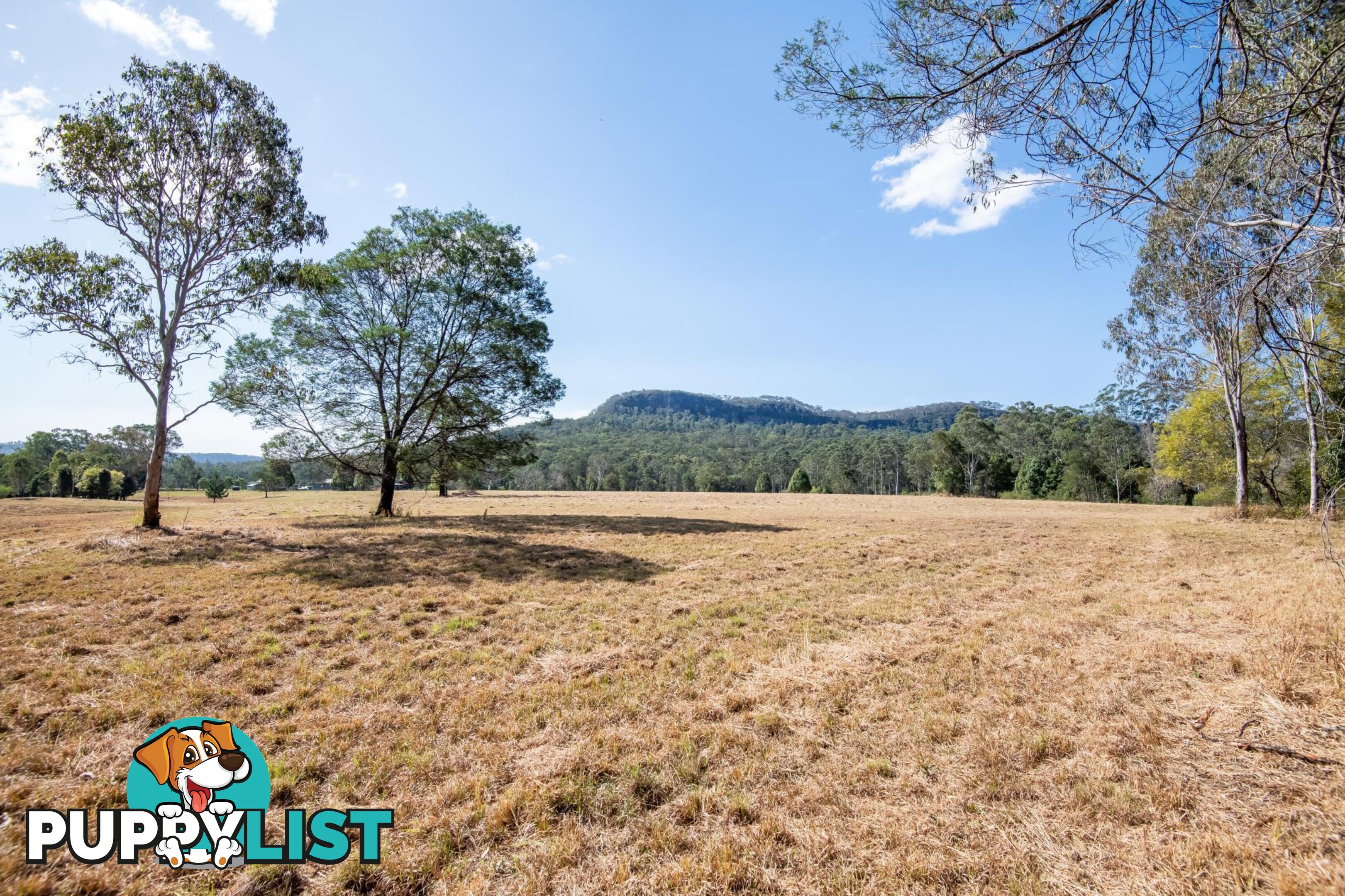 GLENREAGH NSW 2450